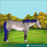 Horse Color:Platinum Painted Bay Dun 