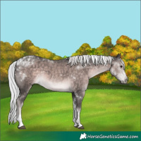 Horse Color:Platinum White Spotted Chocolate Palomino Tobiano 