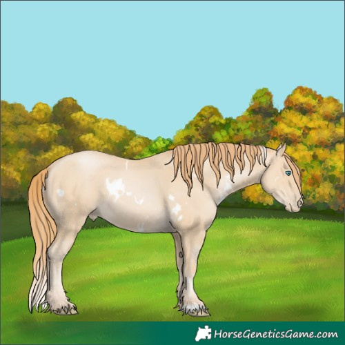 Horse Color:White Spotted Smoky Black Pearl 