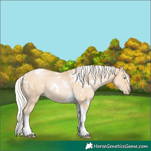 Horse Color:White Spotted Silver Smoky Black Pearl Tobiano