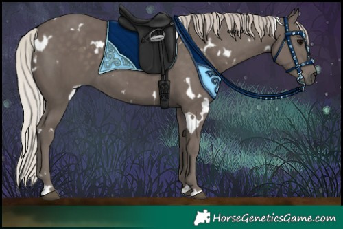Horse Color:White Spotted Silver Black 