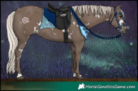 Horse Color:White Spotted Silver Black Rabicano 