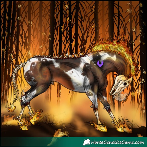 Horse Color:Brown Tobiano 