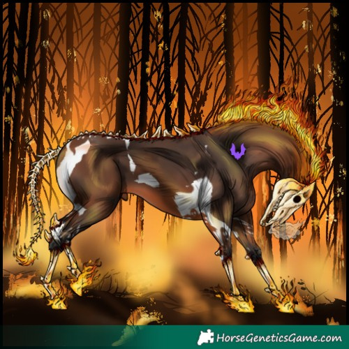 Horse Color:Bay Tobiano 