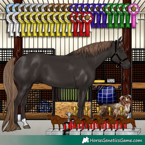 Horse Color:Liver Chestnut 