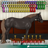 Horse Color:Liver Chestnut 