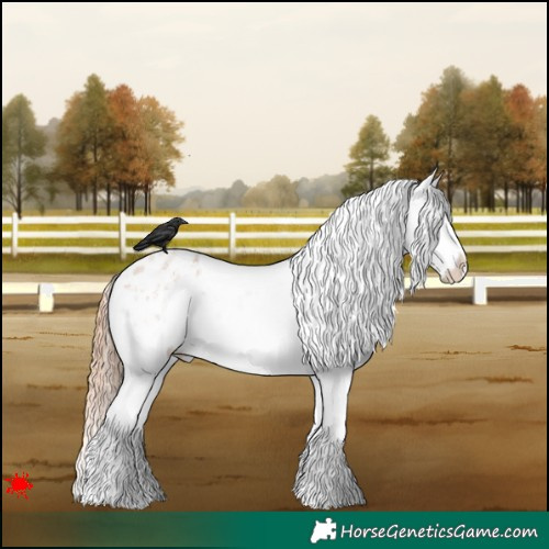 Horse Color:White Spotted Red Roan Splash Varnish 