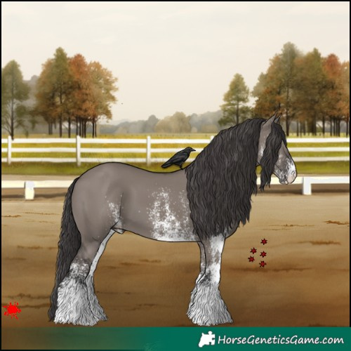 Horse Color:White Spotted Smoky Grullo 