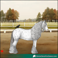 Horse Color:White Spotted Blue Roan Blanket 