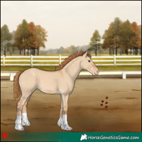 Horse Color:Red Dun Varnish 