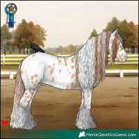 Horse Color:White Spotted Red Dun Appaloosa 
