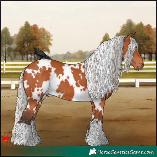 Horse Color:White Spotted Silver Bay 