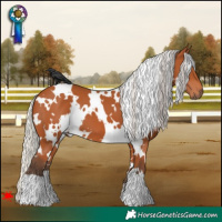 Horse Color:White Spotted Silver Bay 