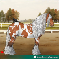 Horse Color:White Spotted Silver Bay
