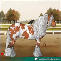 Horse Color:White Spotted Silver Bay 
