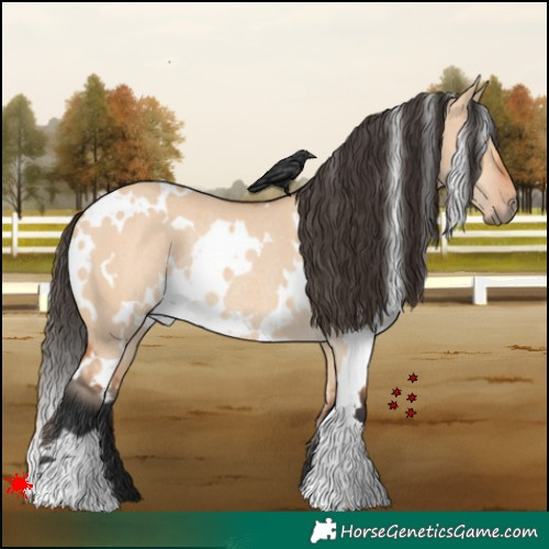 Horse Color:White Spotted Bay Dun Rabicano 