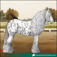 Horse Color:White Spotted Grullo Blanket 