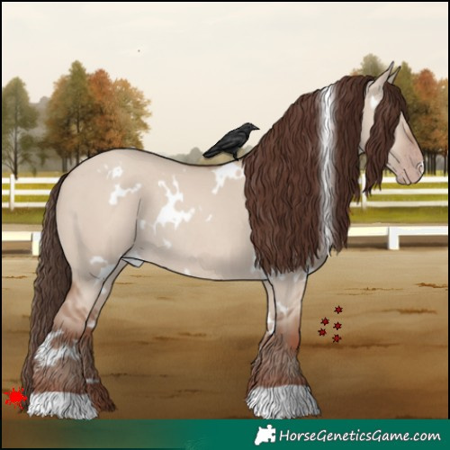 Horse Color:White Spotted Classic Champagne Dun Rabicano 