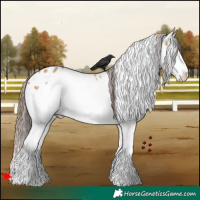 Horse Color:White Spotted Bay Dun Splash Leopard 