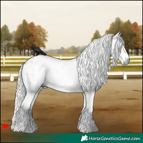 Horse Color:Gray White Spotted Silver Buckskin Varnish 