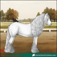 Horse Color:Gray White Spotted Silver Buckskin Varnish 
