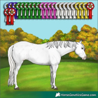 Horse Color:Silver Brown Sabino