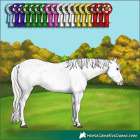 Horse Color:Silver Brown Sabino 