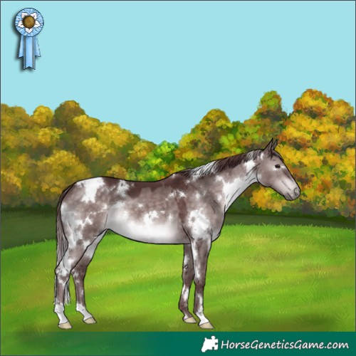 Horse Color:Platinum White Spotted Chocolate Brown Dun 