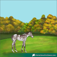 Horse Color:Platinum White Spotted Chocolate Brown Dun 