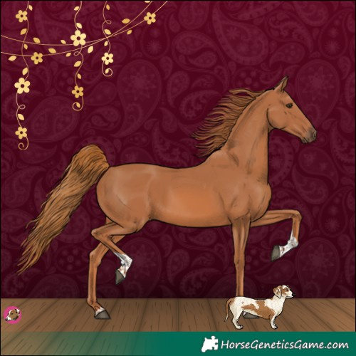 Horse Color:Chestnut Tobiano 