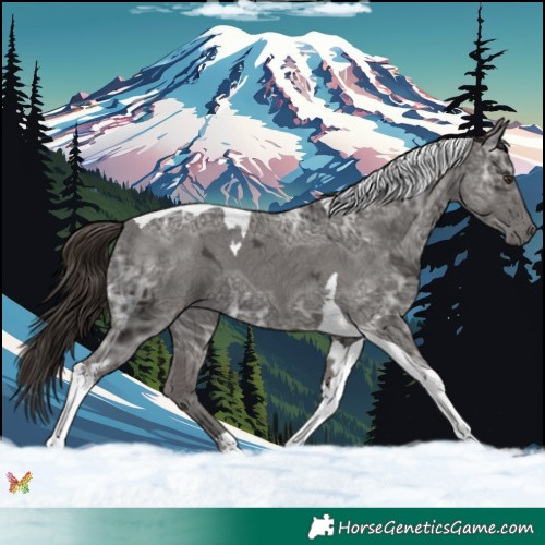 Horse Color:Liver Chestnut Ice Tobiano 