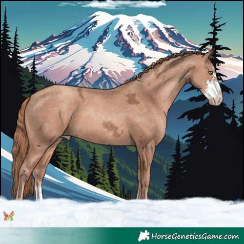 Horse Color:Gold Champagne Ice Sabino 