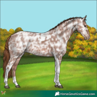 Horse Color:Chestnut Ice Tobiano 
