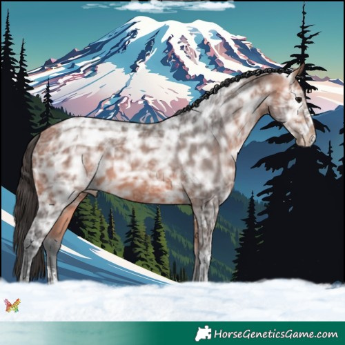 Horse Color:Bay Ice Sabino 