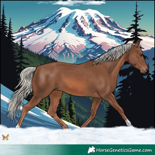 Horse Color:Chestnut Mushroom 