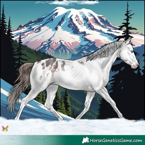 Horse Color:White Spotted Bay Mushroom Sabino Splash Blanket 