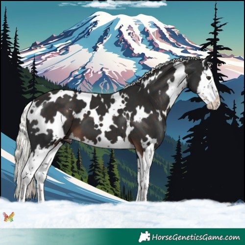 Horse Color:White Spotted Liver Chestnut Mushroom Splash 