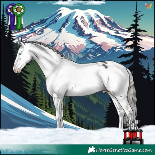 Horse Color:Liver Chestnut Mushroom Splash Appaloosa 