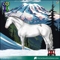 Horse Color:Liver Chestnut Mushroom Splash Appaloosa 
