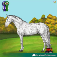 Horse Color:Liver Chestnut Mushroom Splash Appaloosa 