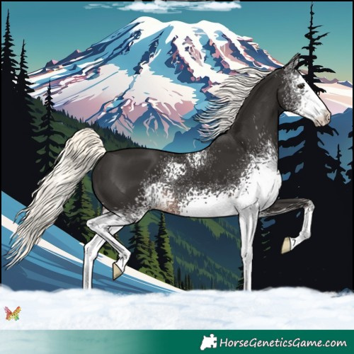 Horse Color:White Spotted Liver Chestnut Mushroom 