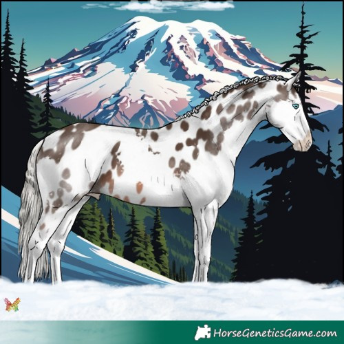 Horse Color:Liver Chestnut Mushroom Splash Near Leopard 