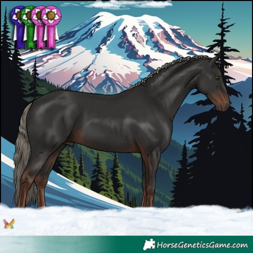 Horse Color:Liver Chestnut Mushroom 