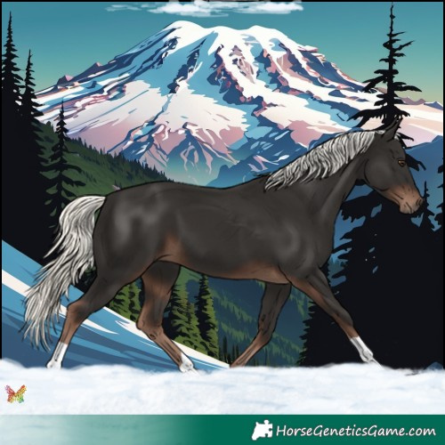 Horse Color:Liver Chestnut Mushroom 