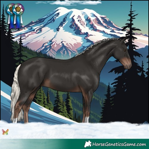 Horse Color:Liver Chestnut Mushroom 