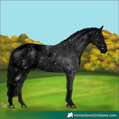 Horse Color:ERROR: UNKNOWN ANOMALY