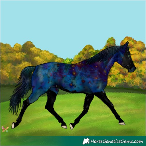 Horse Color:ERROR: UNKNOWN ANOMALY