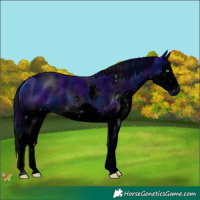Horse Color:ERROR: UNKNOWN ANOMALY