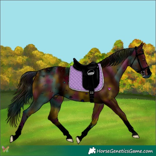Horse Color:ERROR: UNKNOWN ANOMALY