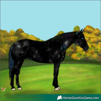 Horse Color:ERROR: UNKNOWN ANOMALY